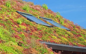 Wilmington Green living roof systems